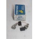 Charbons d’alternateur 5x8x13,2mm référence Delco 7982543 -