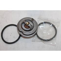 Thermostat Daewoo Korando Musso 2,9l D et TD Ssangyong Actyon 2,0l Xdi