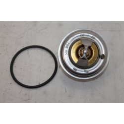 Thermostat pour Jaguar XJ 8 97-03 XK 8 96-05 pour Volkswagen