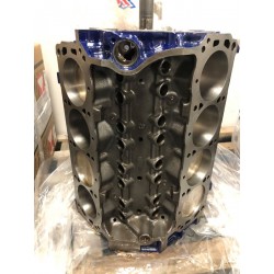 Bloc embiellé V8 302 pour Ford et Mercury