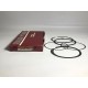 Segment 9979X pour Audi Dodge Plymouth Volkswagen 1.6L de 1978
