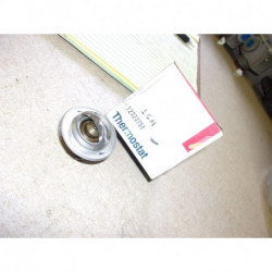 THERMOSTAT AC DELCO REF 132-65 - Vintage Garage 