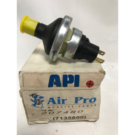 THERMOSTAT API REF 207480 - Vintage Garage 