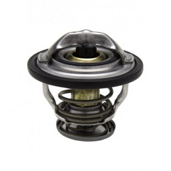 THERMOSTAT - Vintage Garage 